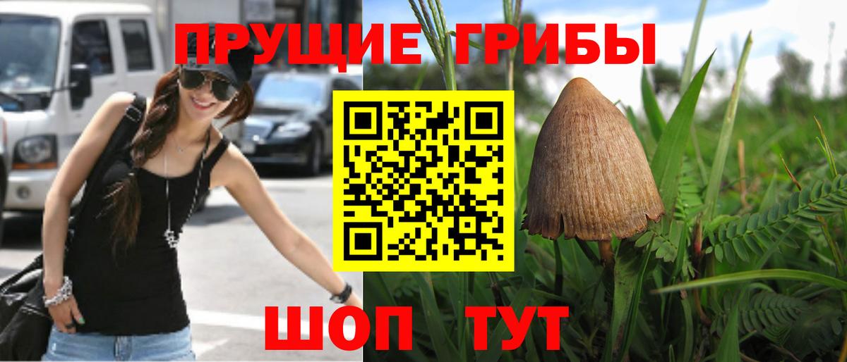 Псилоцибиновые грибы Psilocybine cubensis  Галлюциногенные грибы Psilocybine cubensis  Вход с VPN  Унеча 